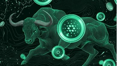 cardano-vs-filecoin:-which-is-the-better-investment-as-the-bull-market-takes-off?