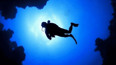 top-5-chinese-manufacturers-of-professional-grade-scuba-gear-for-recreational-and-commercial-diving